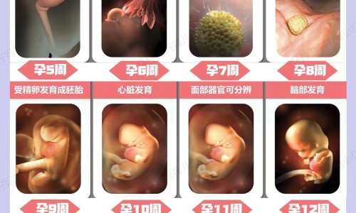 汤臣倍健的药管啥的专区_汤臣倍健有用吗专区_汤臣倍健主治与功能网